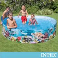 在飛比找Yahoo奇摩購物中心優惠-INTEX 免充氣幼童戲水游泳池244x46cm(2040L