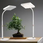 2Pack Desk Grow Light LED Full Spectrum UV IR, Veg Seed Starting Seedlings Bo...
