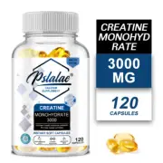 Creatine Monohydrate - Energy & Endurance, Muscle Health, Testosterone Booster