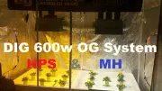 2 x DIGITAL 600w Combo System for Grow Light Hydroponic Tent Duct Fan Setup