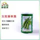 【綠藝家】大包裝G79.女指黃秋葵種子(日本進口)500顆