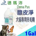 ✪現貨,一加侖下標區✪DERMAPYO 徳瑪沛 膿皮淨 膿皮症洗毛精 對膿皮症及嚴重皮膚炎 邁剋菌 毛囊蟲