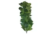 Komodo Ficus Silk Vine 35cm