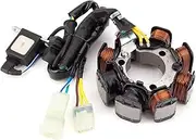 Wivplex Generator Stator Stator Coil TRX250X TRX250EX TRX 250X 250EX Sportrax 250 EX 31120-HM8-B00 31120-HN6-A30 31120-HN6-A31 Motorcycle Ignition Coil