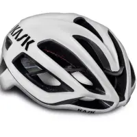 在飛比找蝦皮購物優惠-胖虎單車 KASK Protone WG11 Road He