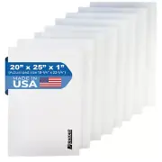 RayAir Supply 20x25 Replacement Pads Compatible With Respicaire CG MicroClean 95