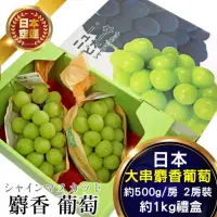 在飛比找momo購物網優惠-【WANG 蔬果】日本空運大串麝香葡萄(2房禮盒/約1kg)