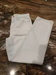 Levi’s Premium Jeans Size 27 Light Blue Wedgie Straight Button Fly High Rise