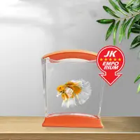 在飛比找蝦皮購物優惠-Jad Betta Cube 迷你魚缸帶變色 LED 燈水族