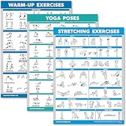 Palace Learning 3 Pack - Warm Up Exercises + Stretching Exercises + Yoga Workouts - Set of 3 Workout Charts (LAMINATED, 18” x 24”)