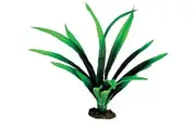 30cm Large African Onion Aquarium Plant Silk For Fish Tanks And Aquariums by Aqua One