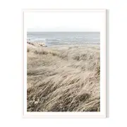 Ocean Grass Framed Printed Wall Art - White