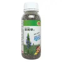 在飛比找PChome商店街優惠-瑪雅-野生鼠尾草籽430g/罐(或譯奇雅籽/奇異籽)