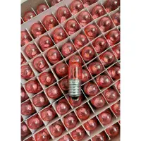 在飛比找蝦皮購物優惠-最便宜H.S.消防器材 泵浦燈 幫浦燈燈泡LED 24V 紅