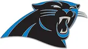 Carolina Panthers Collector Pin Clamshell