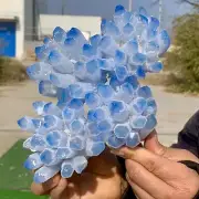 3.47LB New find sky blue phantom quartz crystal cluster mineral sample