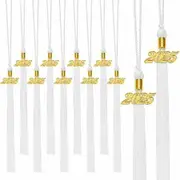20Pcs Graduation Tassels Academic Graduation Cap Hat Tassel with 2025 Gold Charm for 2025 Graduation Ceremonies Accessories (White)