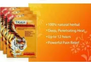 Tiger Pain Balm Relief Plaster Patches 10 Pack / 40 pcs + Bonus 2 Packs Free Rd