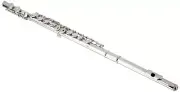 Axiom AXFL4001 Flute - Beginners Flute with case