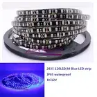 5M 2835 SMD 600Leds Blue Flexible LED Strip DC12V Black PCB IP65 waterproof