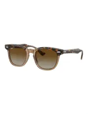 [Ray-Ban] RB9098S Polarised Sunglasses in Brown