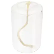 Refillable Glass Liquid Candle Oil Lamp Kerosene Decorative