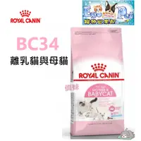 在飛比找蝦皮購物優惠-ROYAL CANIN 法國皇家 BC34 離乳貓與母貓 4