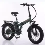 1500W 48V Electric Bicycle 20" Fat Tire Adult E-Mountain Ebike Electric Bike