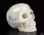 2.0" Green Moss Agate Carved Crystal skull,Realistic, Crystal Healing