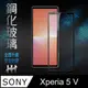 HH 鋼化玻璃保護貼系列 SONY Xperia 5 V (6.1吋)(全滿版)