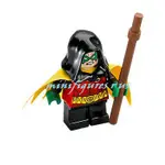 [樂高小人國] LEGO 正版樂高絕版品 76056 DC超級英雄 ROBIN 羅賓 人偶附披風武器