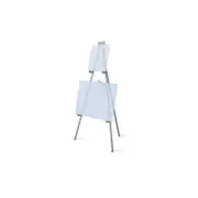 Testrite Visual Products 900-6A Convention & Hotel Easels