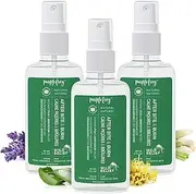 Purple Frog Wild Relief Anti Itch Spray and Mosquito Bite Itch Relief, Plant-Based Bug Bite Relief and Burn Spray, for Minor Burns, Cuts & Rashes, with AloeVera and Witch Hazel, 60ml, Pack of 3