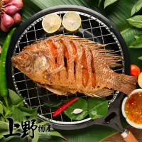 在飛比找momo購物網優惠-【上野物產】24隻 台灣產 鯛魚(海鮮/ 250g土10%/