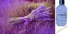 LAVENDER - Reed Diffuser Refill