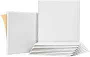 Hmskoss 10Pack Sound Proof Panels for Walls,Self-Adhesive Acoustic Panels 12x12x0.4In for Recording Studio,Office,Home,C