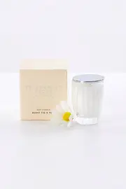 Small Burnt Fig & Pear Soy Candle--PEPP-FIGPEARSML