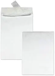 Tyvek Expansion Mailer 10 X 13 X 1 1/2 White 100/carton