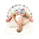 Colorland 健力架 健身架 嬰兒玩具 哄睡神器 踢踢琴 多功能安撫玩具 寶寶健力架 嬰兒健力架