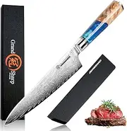 Chef Knife Damascus Japanese 8 inch VG10 Kitchen Knife 67-Layer Damascus Steel Pro Ergonomic Superb Sharp Edge Gyuto Chef Knife[Gift Box]-Blue Resin Handle