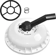 ALF630 272422 Valve Top Assembly, Replace for Pentair 2'' Backwash Hi-Flow Valve w/Compression Spring 272400