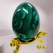 Authentic Malachite Natural Crystal Gemstone Egg 302 grams Stone of Transformati