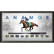 ANAMOE JAMES MCDONALD SIGNED & FRAMED LIMITED EDITION WHIP DISPLAY COX PLATE