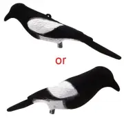 Magpie Bird Painted Decoy for Shell Outdoors Shot Hunting Lures Bait To