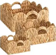 Natural Water Hyacinth Storage Baskets with Handles, Handwoven Nesting Trays Set, Scalloped Edge Design, Sturdy Iron Frame
