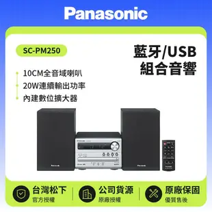 【Panasonic 國際牌】 藍牙/USB組合音響 SC-PM250