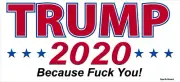 Pro Trump 2020 Because F You! Pro Conservative sticker decal