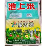 ✨免運✨池上米 12公斤原袋包裝 多力米 池上多力米 正港池上好米 台東池上米 宅配到府