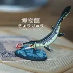 👾 COLORATA日本蝴蝶社滄龍模型博物館恐龍玩具收藏藏品