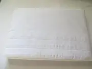 Vera Wang Sculpted Floral Solid White Queen Flat Sheet New